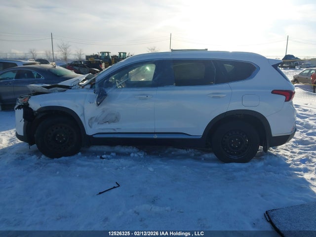 5NMS3CADXLH252409 Hyundai Santa Fe