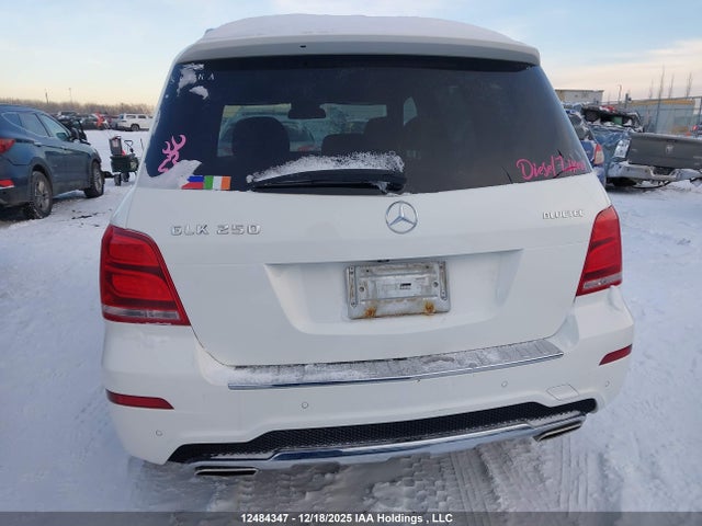 WDCGG0EB2FG398228 Mercedes-Benz Glk 250 Bluetec 4matic