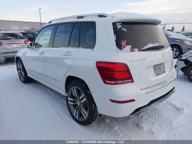 WDCGG0EB2FG398228 Mercedes-Benz Glk 250 Bluetec 4matic