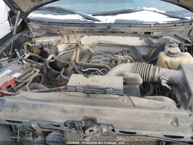 Aukcja sprzedaży 2013 Ford F-150 Fx4, vin: 1FTFX1EF9DFA00316, numer aukcji: 12526405