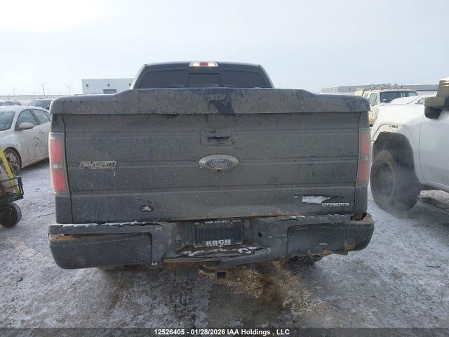 Aukcja sprzedaży 2013 Ford F-150 Fx4, vin: 1FTFX1EF9DFA00316, numer aukcji: 12526405