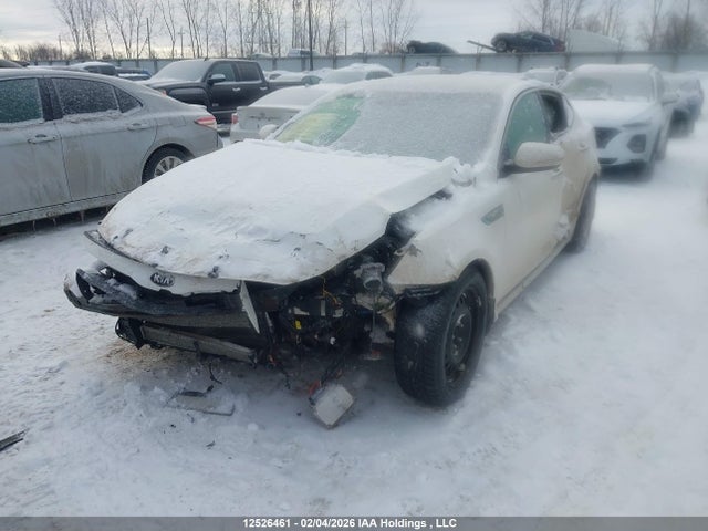 12526461 :رقم المزاد ، KNAGN4AD0E5067648 vin ، 2014 Kia Optima مزاد بيع