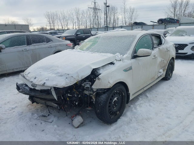 12526461 :رقم المزاد ، KNAGN4AD0E5067648 vin ، 2014 Kia Optima مزاد بيع