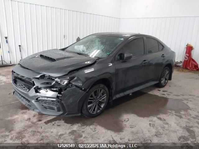 JF1VBAA68P9822646 Subaru WRX