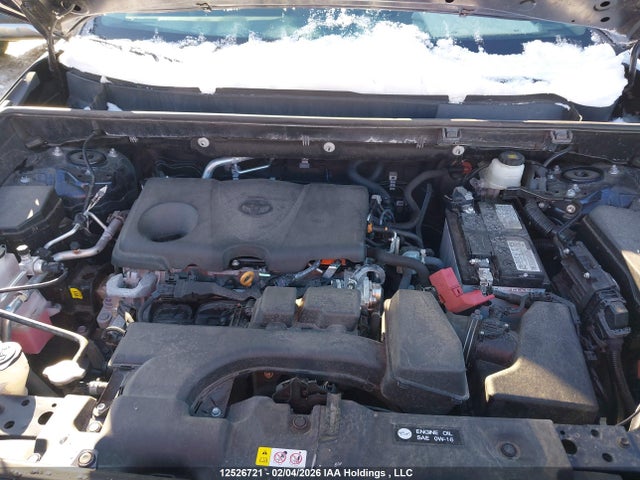 2T3R1RFV3PW384583 Toyota Rav4 Xle