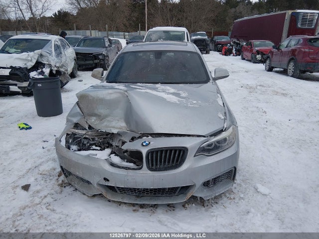 WBA1G9C52GV599103 BMW 228i Xdrive
