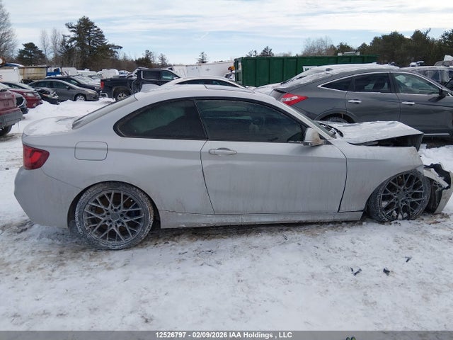 WBA1G9C52GV599103 BMW 228i Xdrive