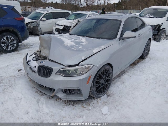 WBA1G9C52GV599103 BMW 228i Xdrive