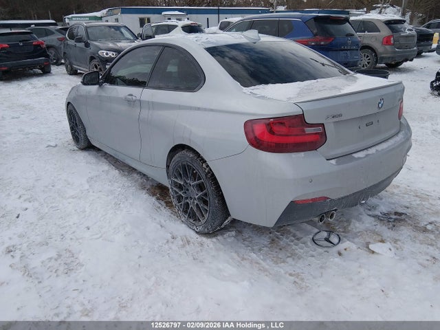 WBA1G9C52GV599103 BMW 228i Xdrive