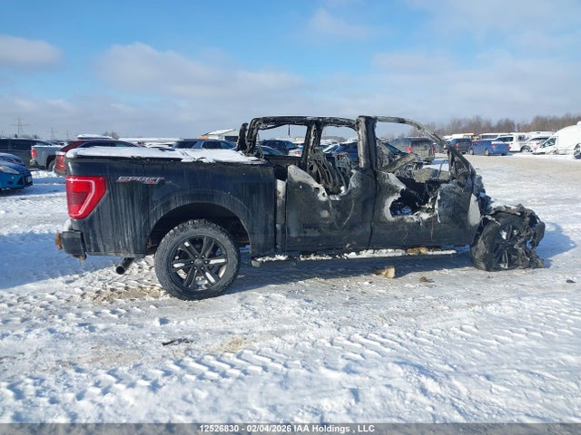 12526830 :رقم المزاد ، 1FTFW1E81MFB81822 vin ، 2021 Ford F150 Supercrew مزاد بيع
