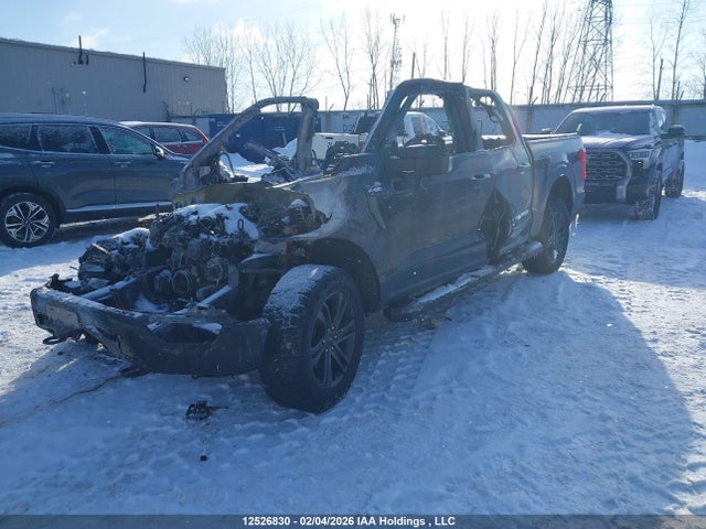 12526830 :رقم المزاد ، 1FTFW1E81MFB81822 vin ، 2021 Ford F150 Supercrew مزاد بيع
