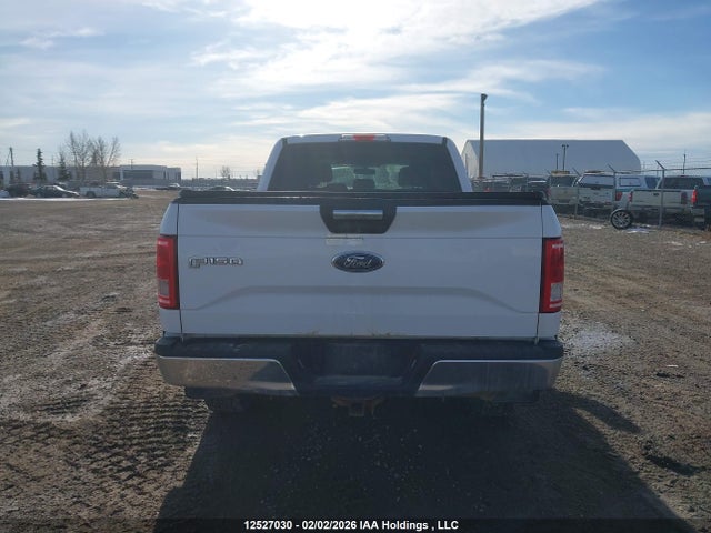 1FTFW1EG9FKE44933 Ford F-150 Xlt