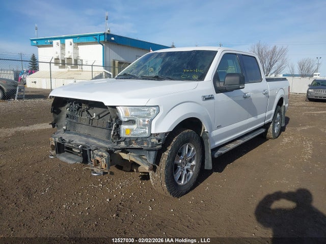 1FTFW1EG9FKE44933 Ford F-150 Xlt