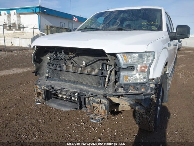 1FTFW1EG9FKE44933 Ford F-150 Xlt