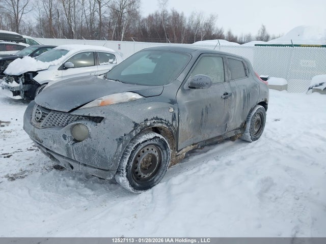 12527113 :رقم المزاد ، JN8AF5MV3DT208064 vin ، 2013 Nissan Juke مزاد بيع