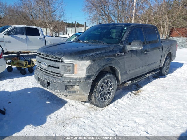 1FTEW1E49KFB06159 Ford F-150 Xlt