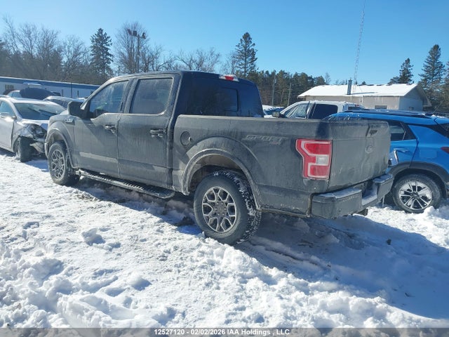 1FTEW1E49KFB06159 Ford F-150 Xlt