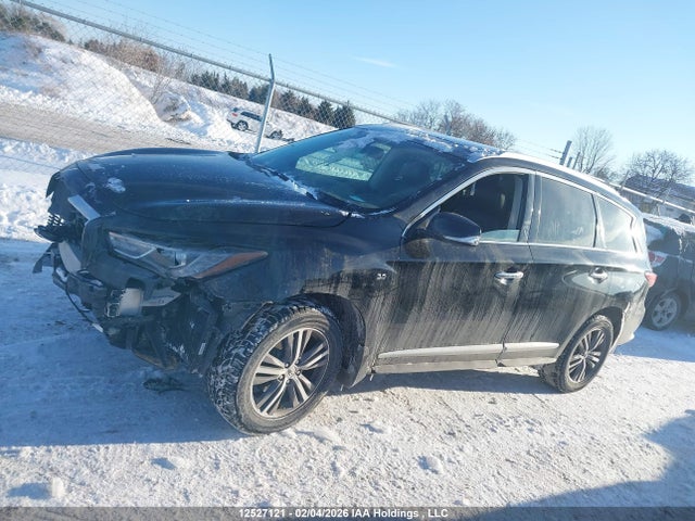 5N1DL0MM3KC501645 Infiniti Qx60 Luxe/pure