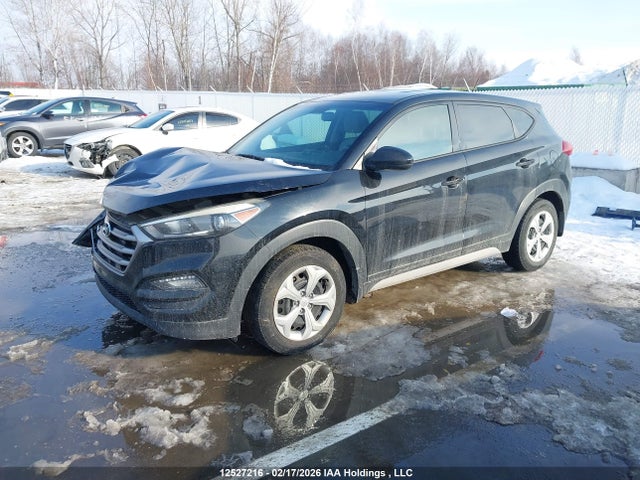 KM8J23A49HU447718 Hyundai Tucson