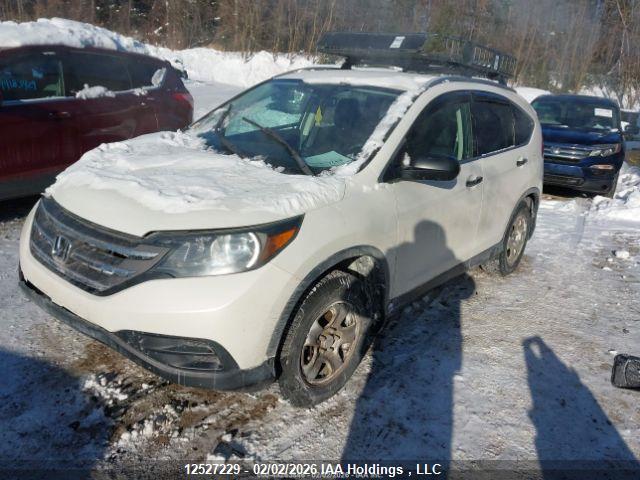 Продаж на аукціоні авто 2013 Honda Cr-v Lx, vin: 2HKRM3H36DH001836, номер лоту: 12527229
