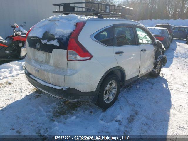 Продаж на аукціоні авто 2013 Honda Cr-v Lx, vin: 2HKRM3H36DH001836, номер лоту: 12527229