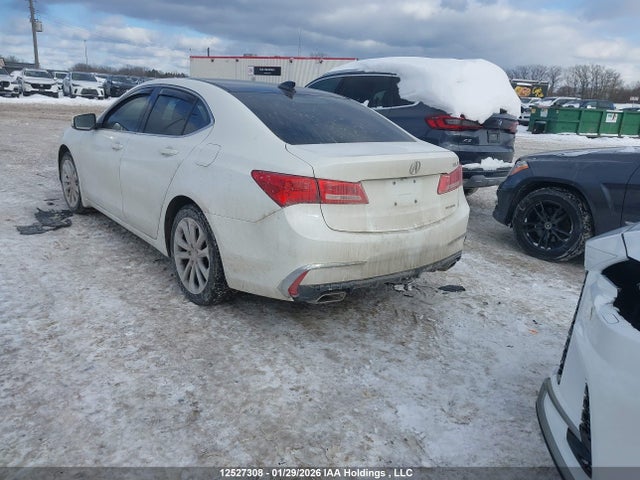 19UUB3F5XJA801175 Acura TLX