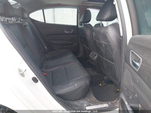 19UUB3F5XJA801175 Acura TLX