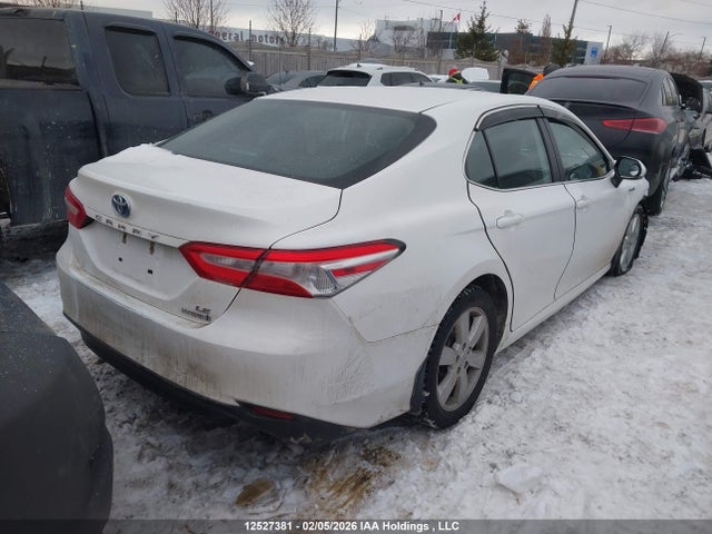 4T1B31HKXKU509693 Toyota CAMRY LE