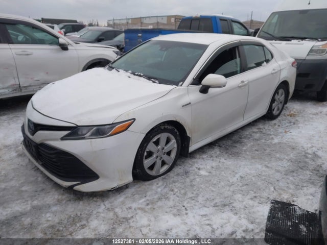 4T1B31HKXKU509693 Toyota CAMRY LE
