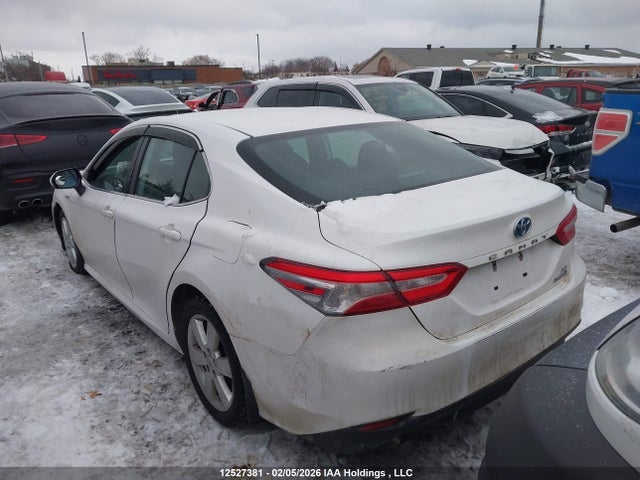 4T1B31HKXKU509693 Toyota CAMRY LE