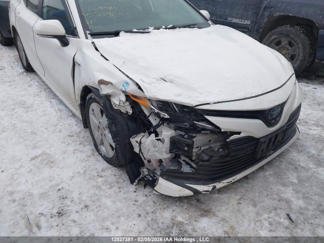4T1B31HKXKU509693 Toyota CAMRY LE