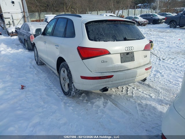 WA1C2AFPXGA054941 Audi Q5 PREMIUM