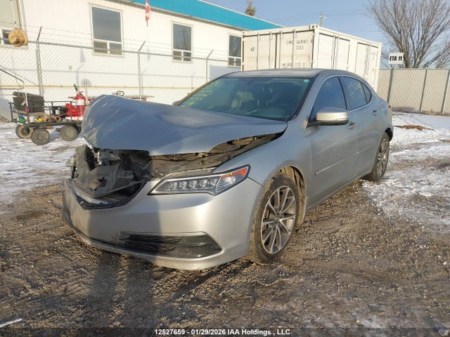 19UUB3F36HA801263 Acura TLX