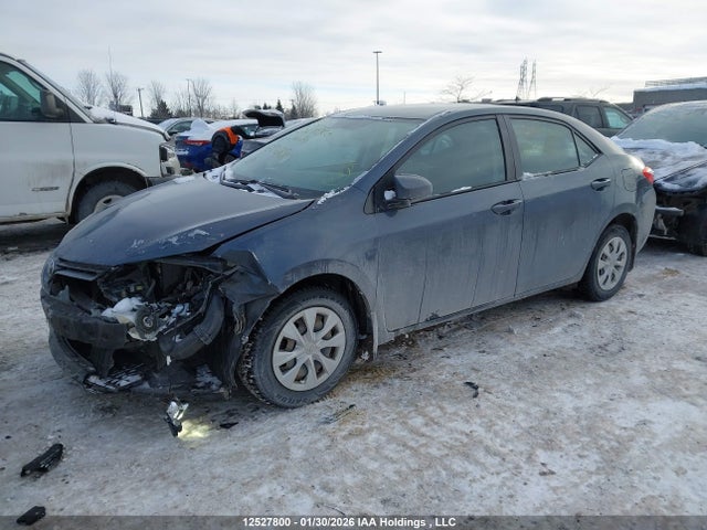 2T1BURHE0GC693668 Toyota Corolla L/le/le Pls/prm/s/s Pls