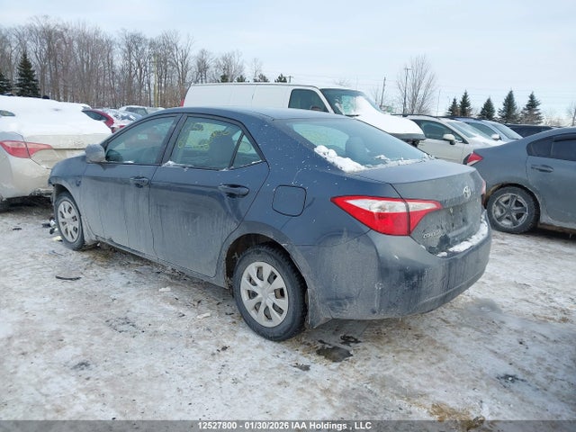 2T1BURHE0GC693668 Toyota Corolla L/le/le Pls/prm/s/s Pls