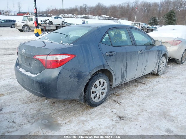 2T1BURHE0GC693668 Toyota Corolla L/le/le Pls/prm/s/s Pls