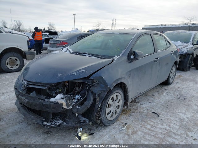 2T1BURHE0GC693668 Toyota Corolla L/le/le Pls/prm/s/s Pls