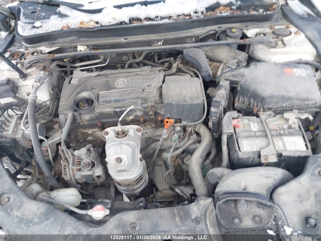 19UUB1F51HA800477 Acura TLX