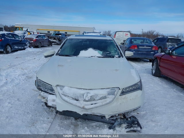 19UUB1F51HA800477 Acura TLX