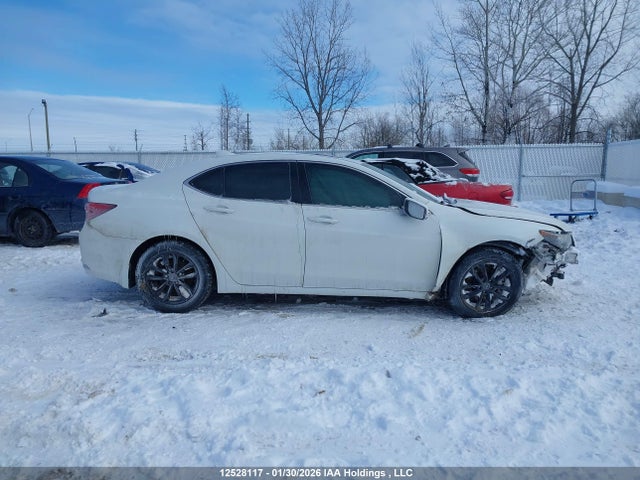19UUB1F51HA800477 Acura TLX
