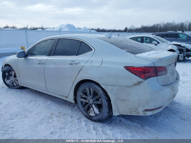 19UUB1F51HA800477 Acura TLX