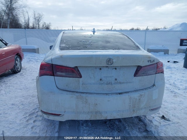 19UUB1F51HA800477 Acura TLX