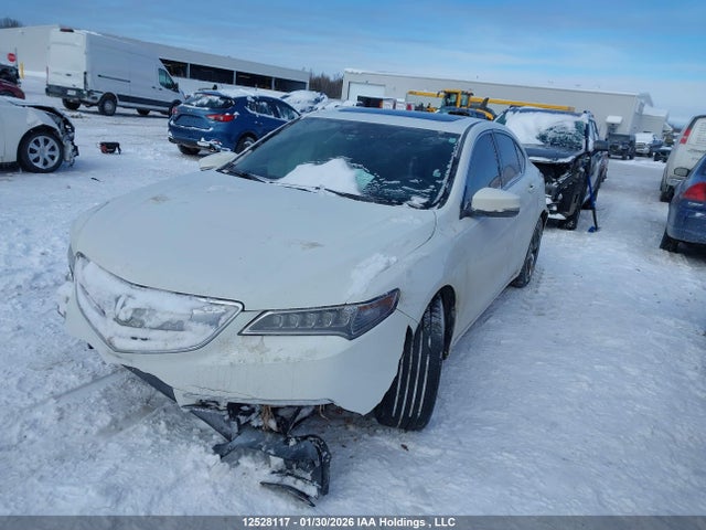 19UUB1F51HA800477 Acura TLX