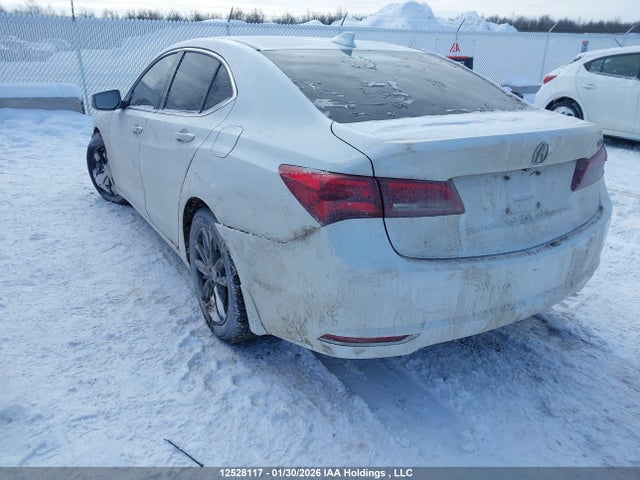 19UUB1F51HA800477 Acura TLX