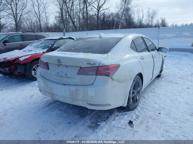 19UUB1F51HA800477 Acura TLX