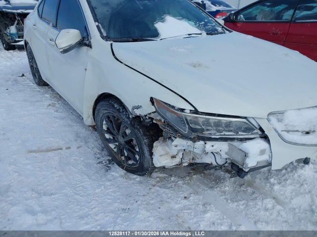 19UUB1F51HA800477 Acura TLX