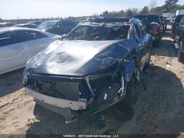 Продажа на аукционе авто 2025 Infiniti Qx50 Sport, vin: 3PCAJ5FB8SF114534, номер лота: 12528231