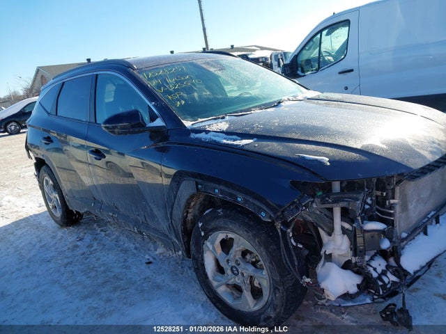 KM8JBCDE5RU325590 Hyundai TUCSON SEL