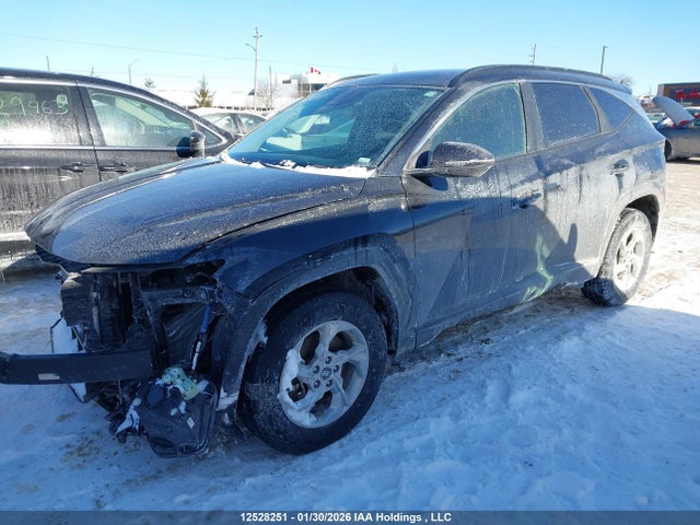 KM8JBCDE5RU325590 Hyundai TUCSON SEL
