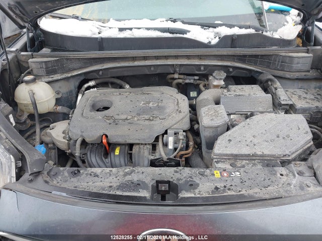 KNDPN3AC5H7212115 KIA Sportage Ex